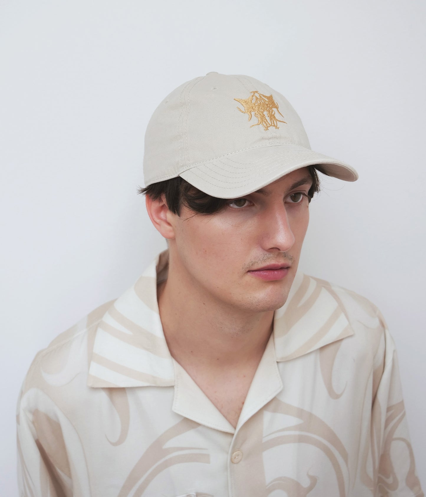 Embroidery baseball cap